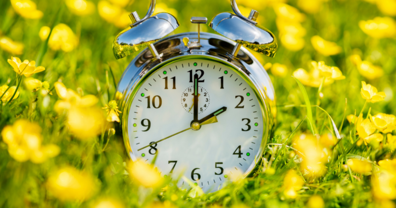 Spring Forward To Protect Your Family With Estate Planning